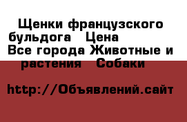 Щенки французского бульдога › Цена ­ 30 000 - Все города Животные и растения » Собаки   
